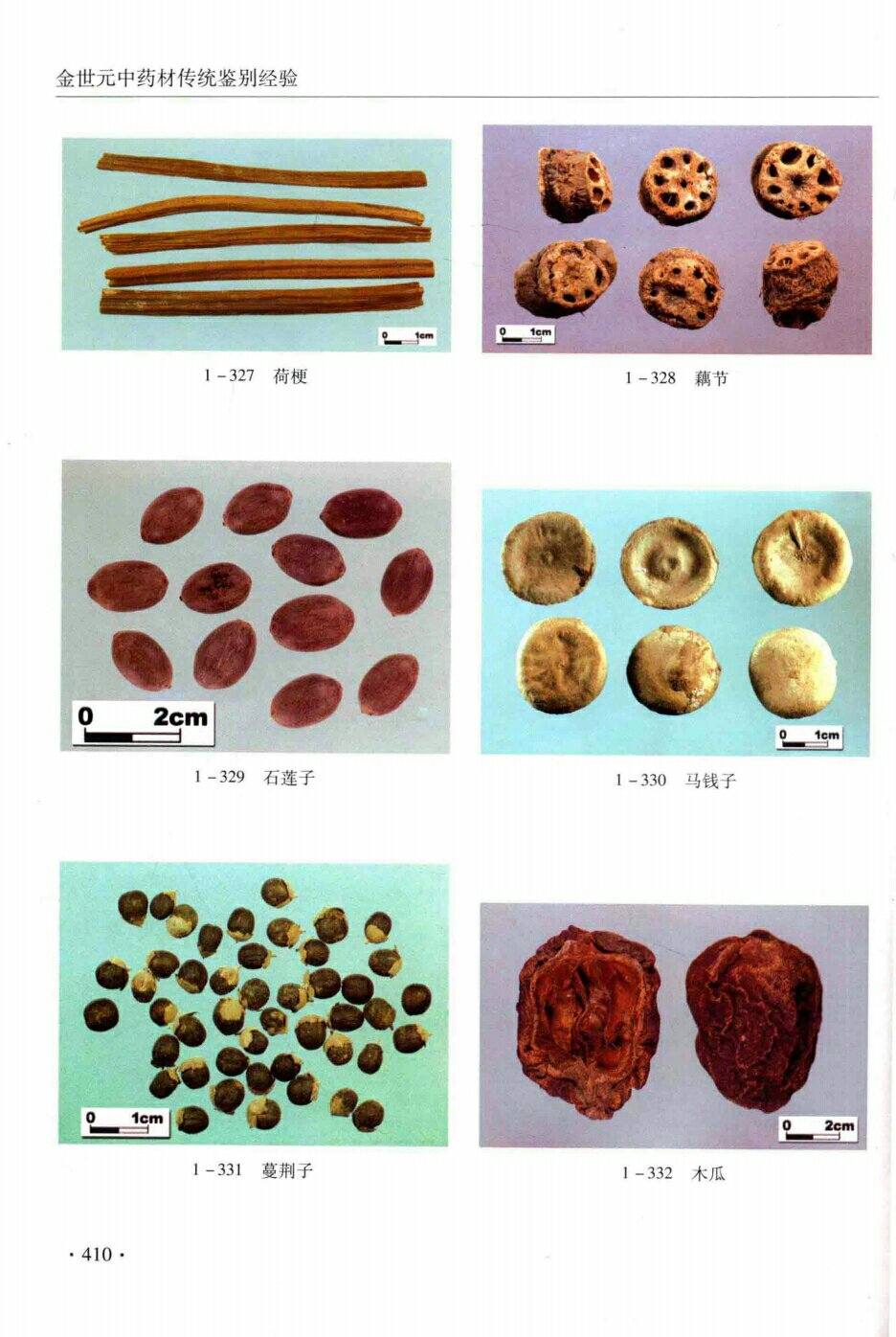 荷梗,藕节,石莲子,马钱子,蔓荆子,木瓜
