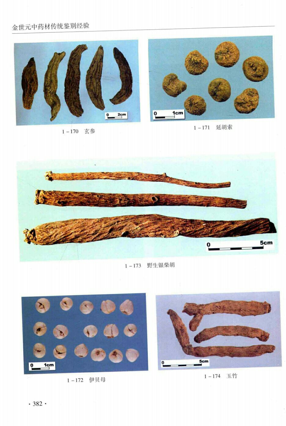 玄参,延胡索,野生银柴胡,伊贝母,玉竹