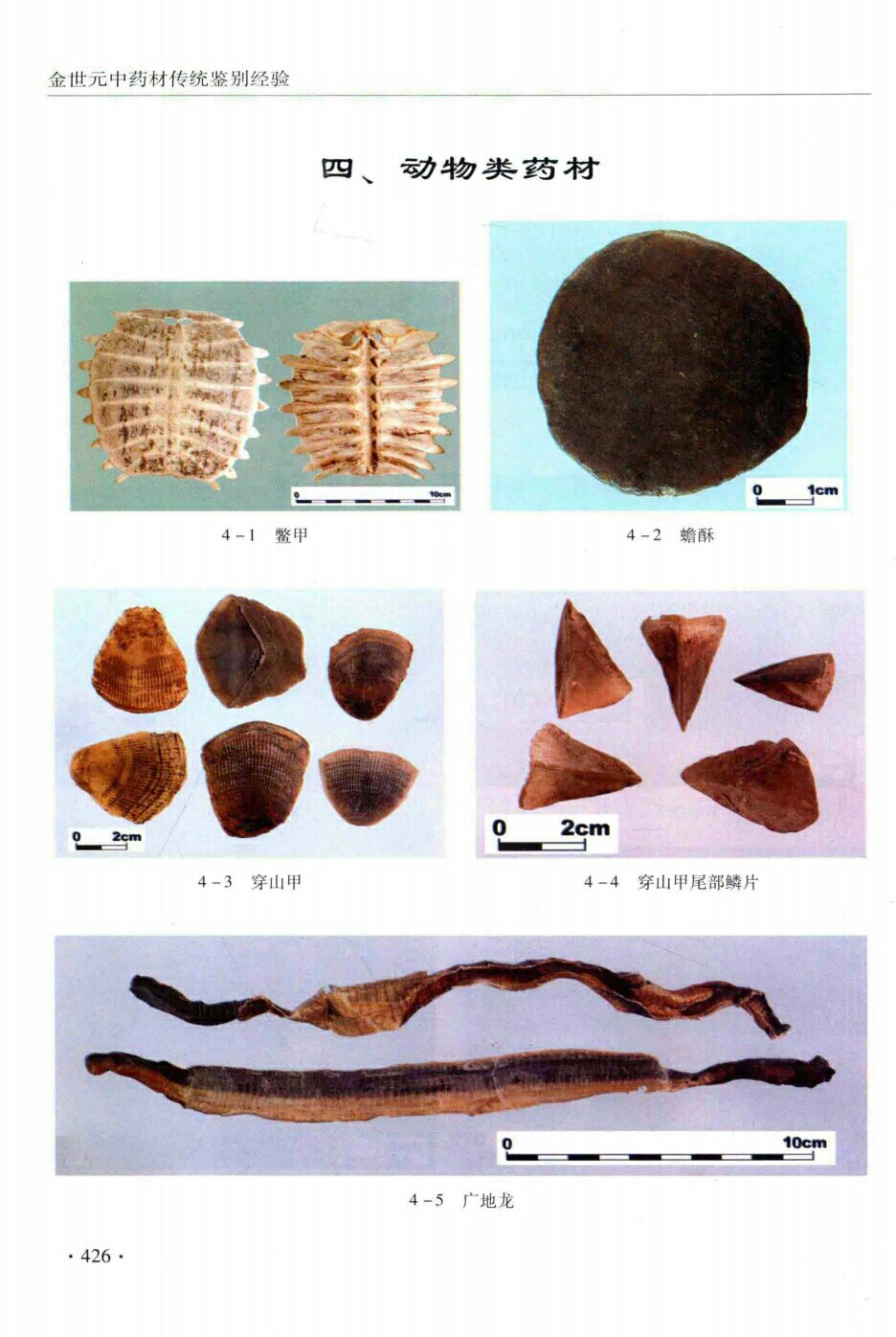 鳖甲,穿山甲,穿山甲尾部鳞片,广地龙, 