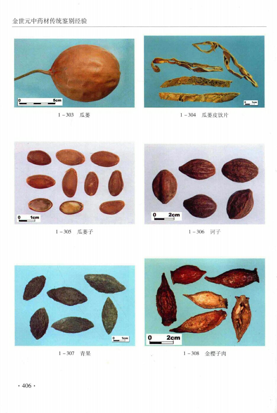 瓜菱,瓜蒌皮饮片,瓜菱子,青果,金楼子肉 