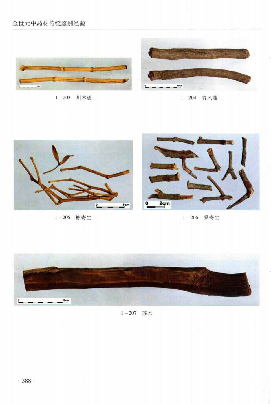 川木通,『青风藤』,槲寄生,桑寄生
