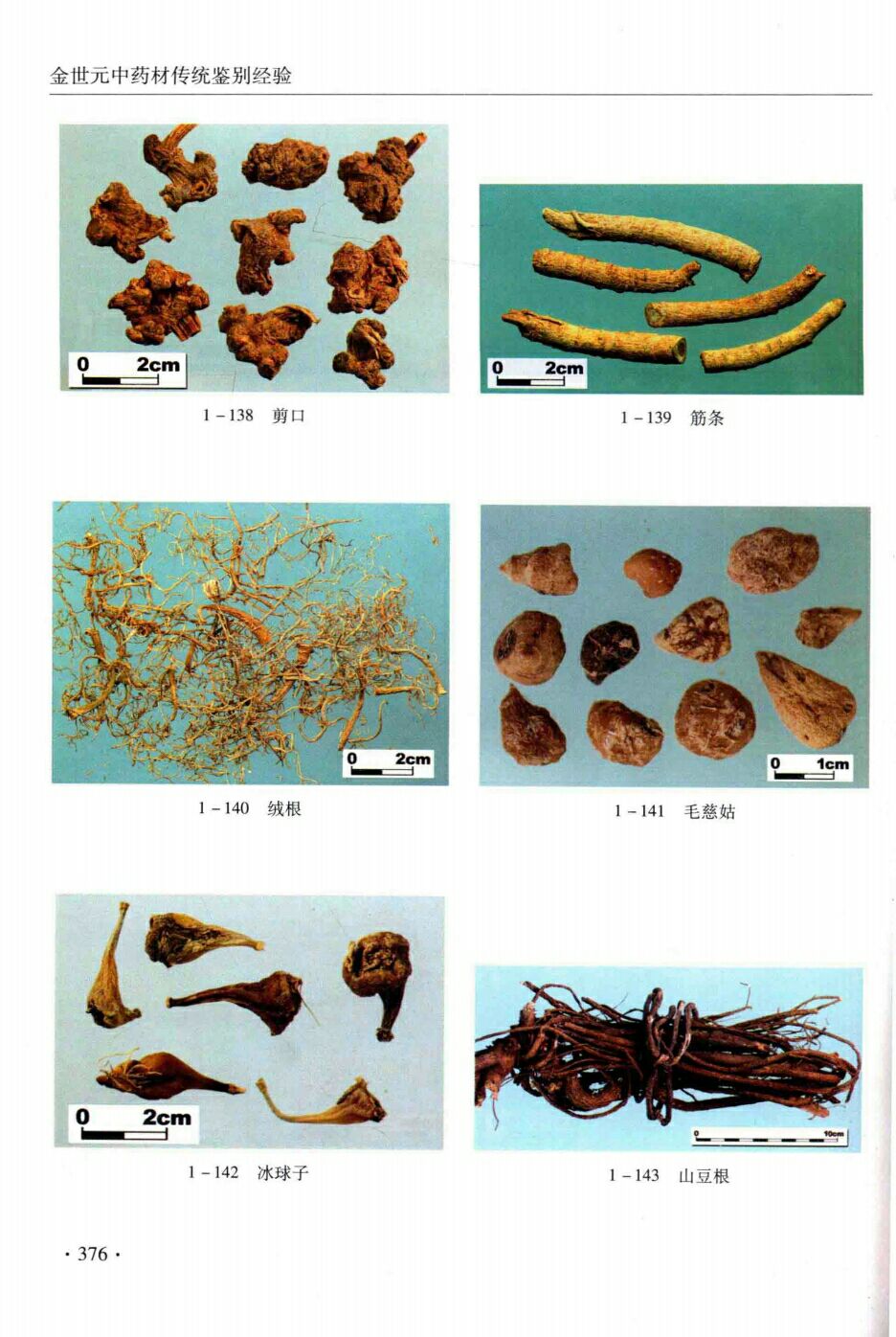 剪口,筋条,雪,绒根,毛慈菇,冰球子,山豆根