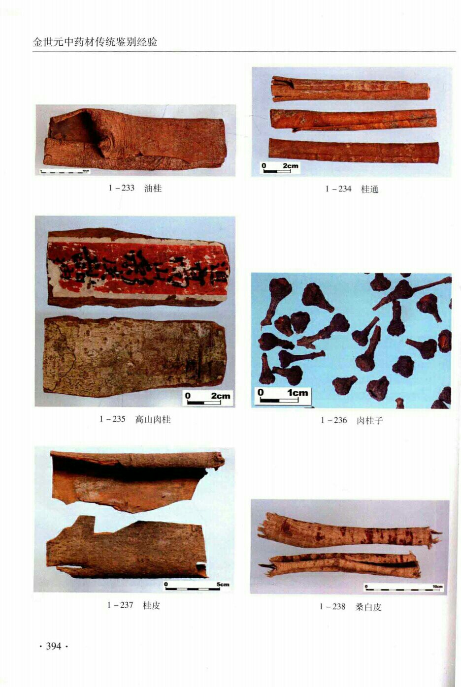 油桂,桂通,高山肉桂,肉桂子,桂皮,桑白皮 