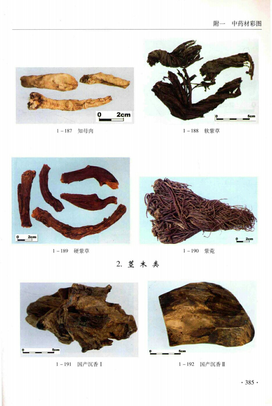 知母肉,软紫草,硬紫草,紫苑,茎木类,国产沉香,国产沉香