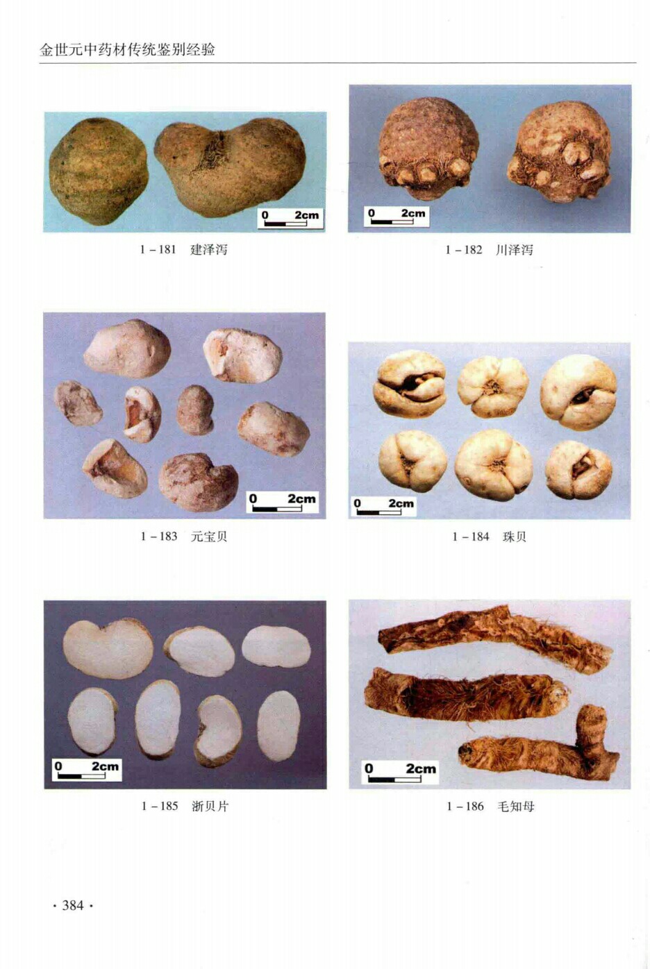 建泽泻,川泽泻,元宝贝,珠贝,浙贝片,毛知母