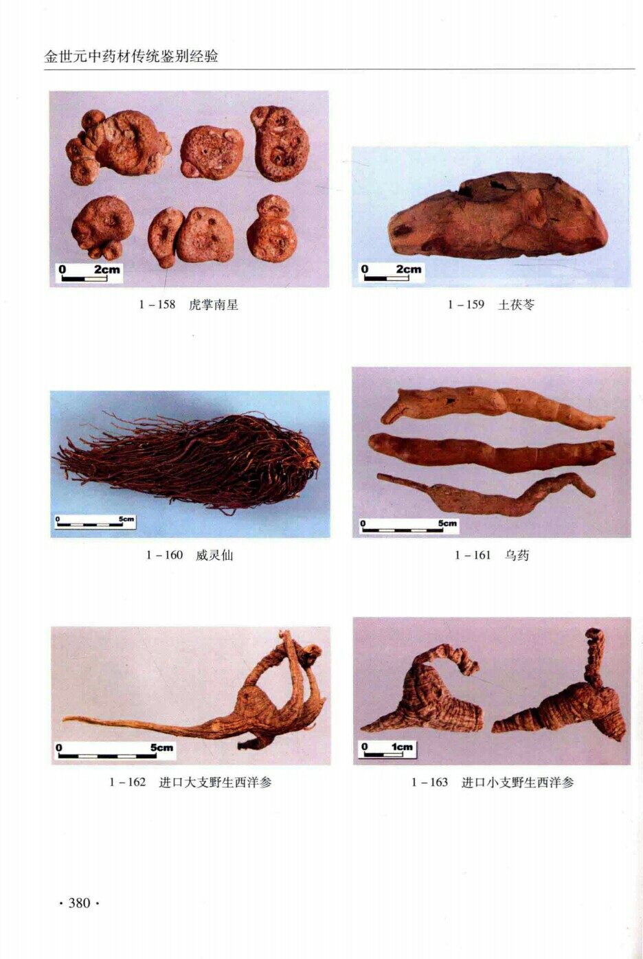 虎掌南星,土茯苓,威灵仙,乌药,进口大支野生西洋参,进口小支野生西洋参