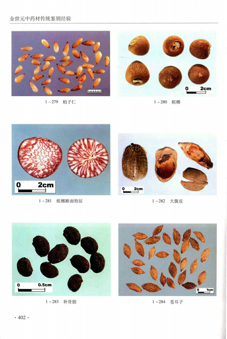 槟榔,柏子仁,大腹皮,补骨脂,苍耳子 