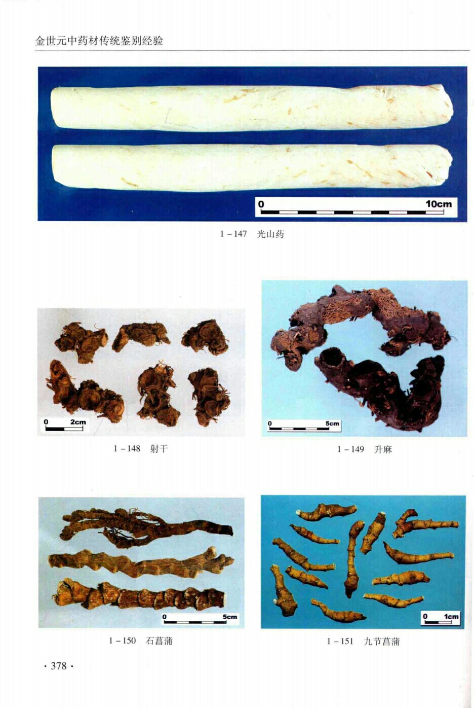 光山药,射干,升麻,石菖蒲,九节菖蒲