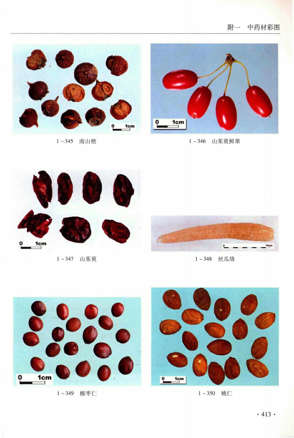 南山楂,山茱萸鲜果，山茱萸,丝瓜络,酸枣仁,桃仁