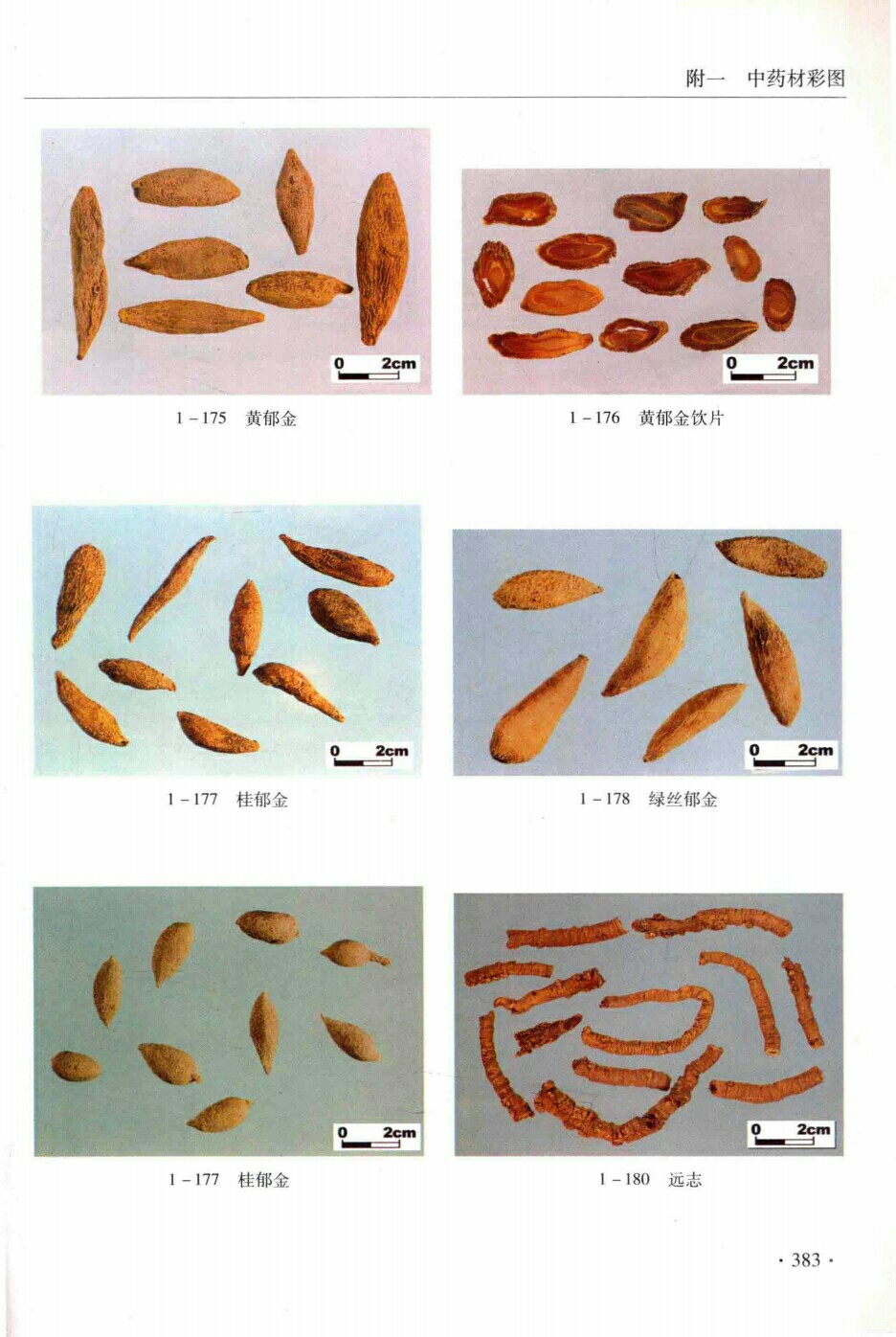 黄郁金,黄郁金饮片,桂郁金,绿丝郁金,桂郁金,远志