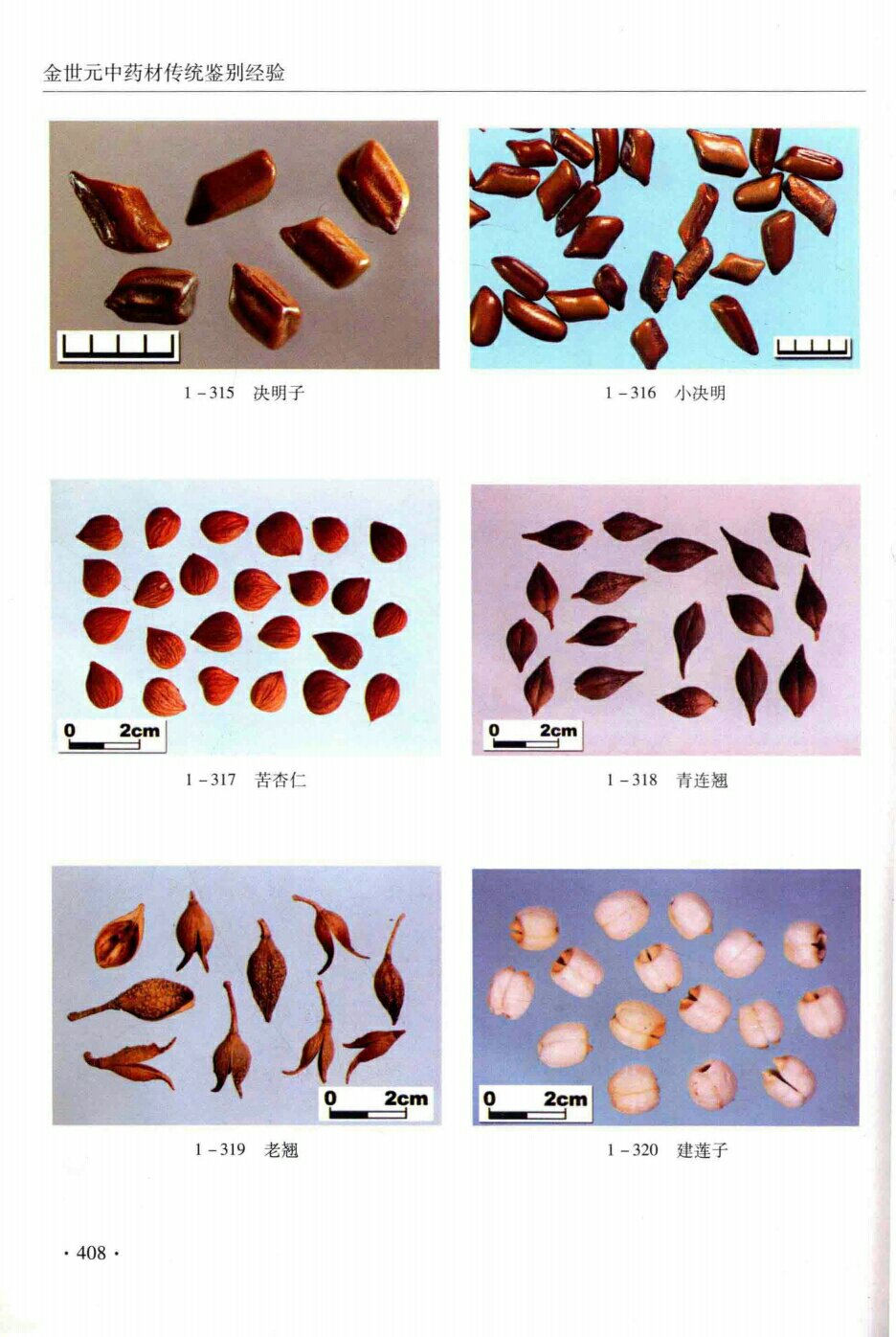 决明子,小决明子,苦杏仁,青连翘,老翘建莲子