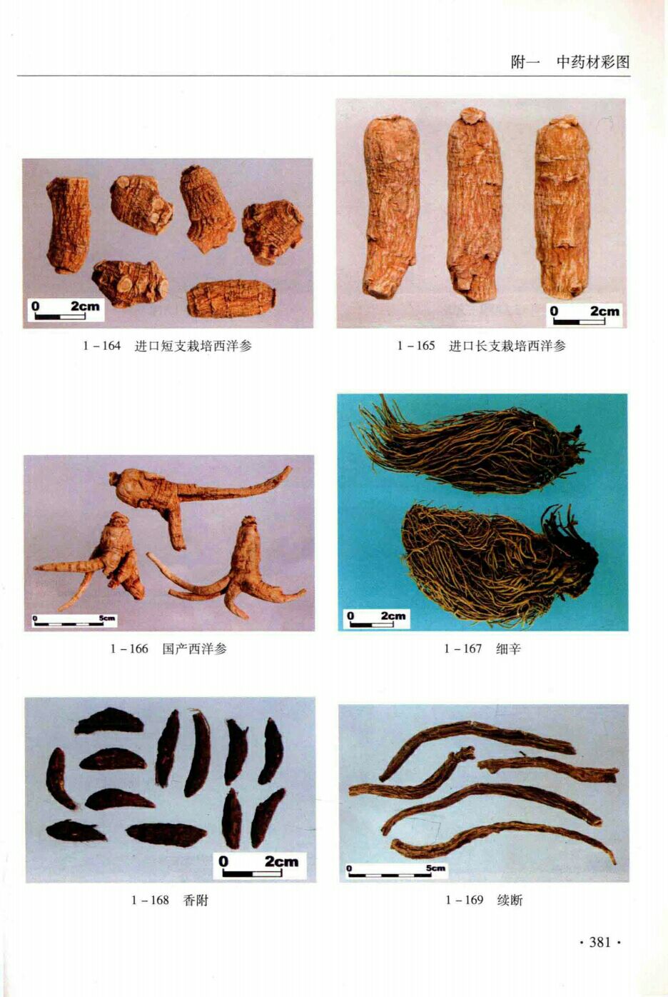 进口短支栽培西洋参,进口长支栽培西洋参,国产西洋参,细辛,香附,续断