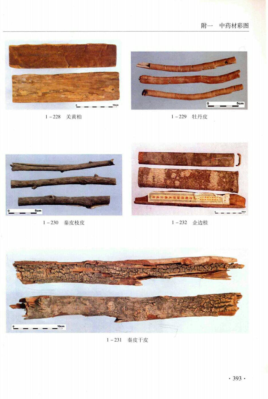 关黄柏,牡丹皮,秦皮枝皮,企边桂,秦皮干皮 