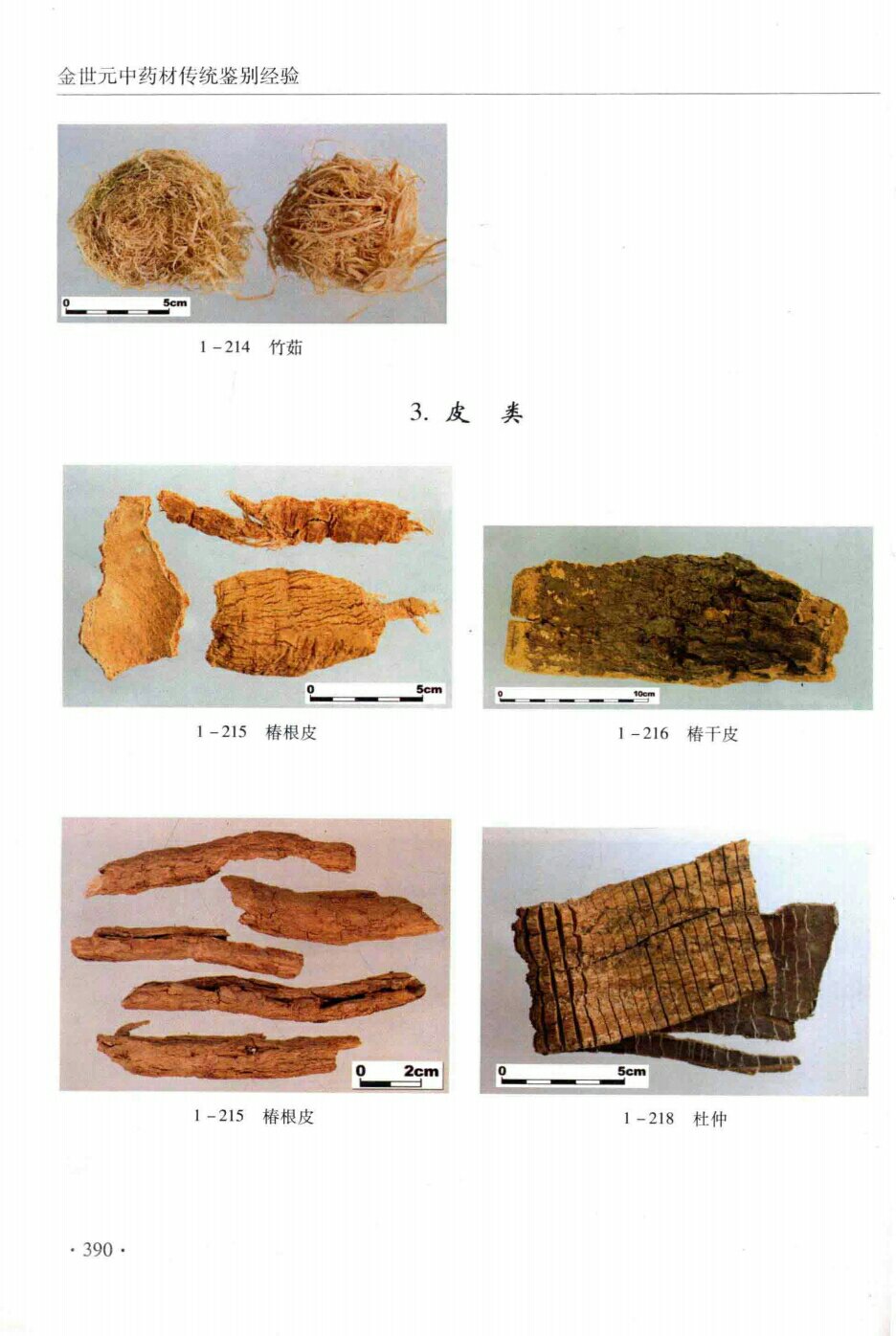 竹茹,椿根皮,椿干皮,椿根皮,杜仲