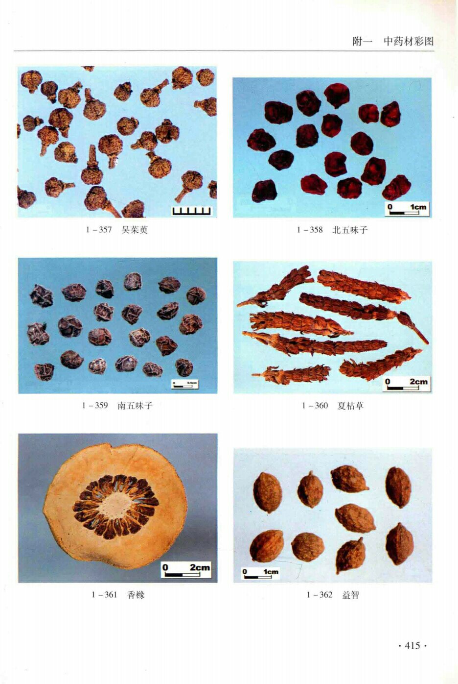 吴茱萸,北五味子,南五味子,香橼,益智
