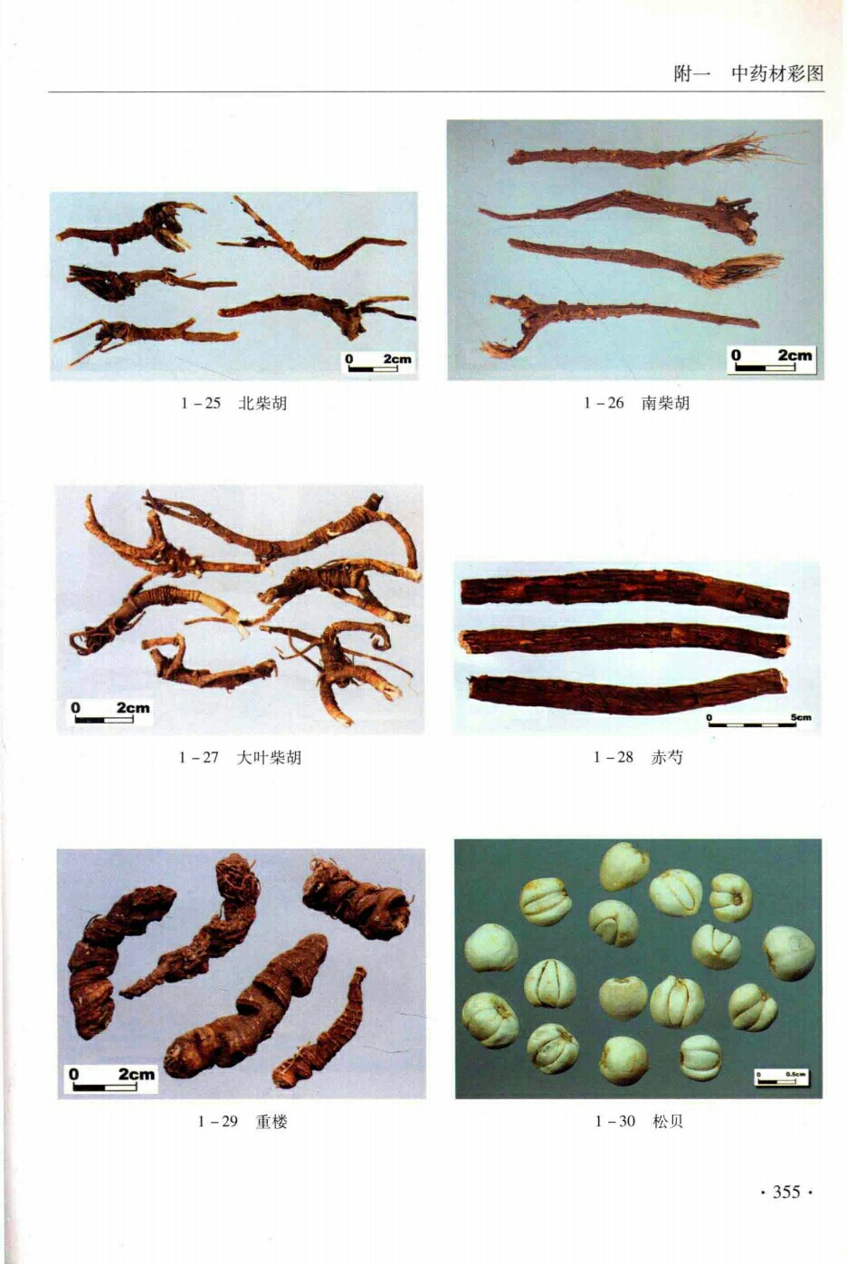 北柴胡,南柴胡,大叶柴胡,赤芍,重楼,松背