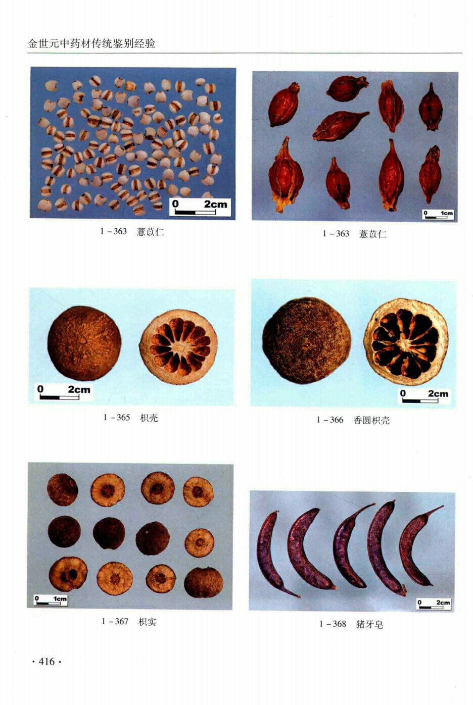 薏苡仁,枳壳,香圆枳壳,枳实,猪牙皂
