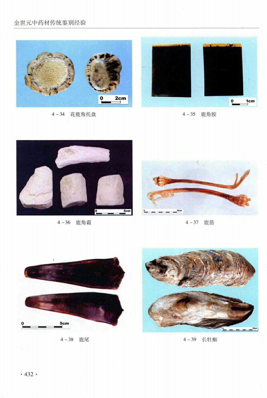 花鹿角托盘,鹿角霜,鹿角胶,鹿筋,鹿尾,长牡蛎